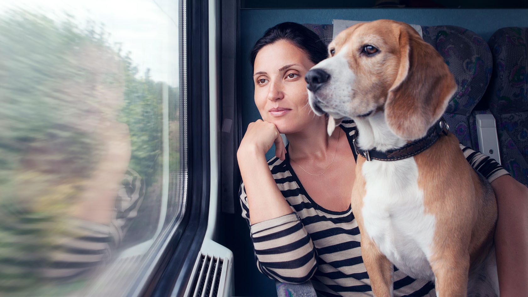 En dame og en hund på et tog, som ser ut av vinduet