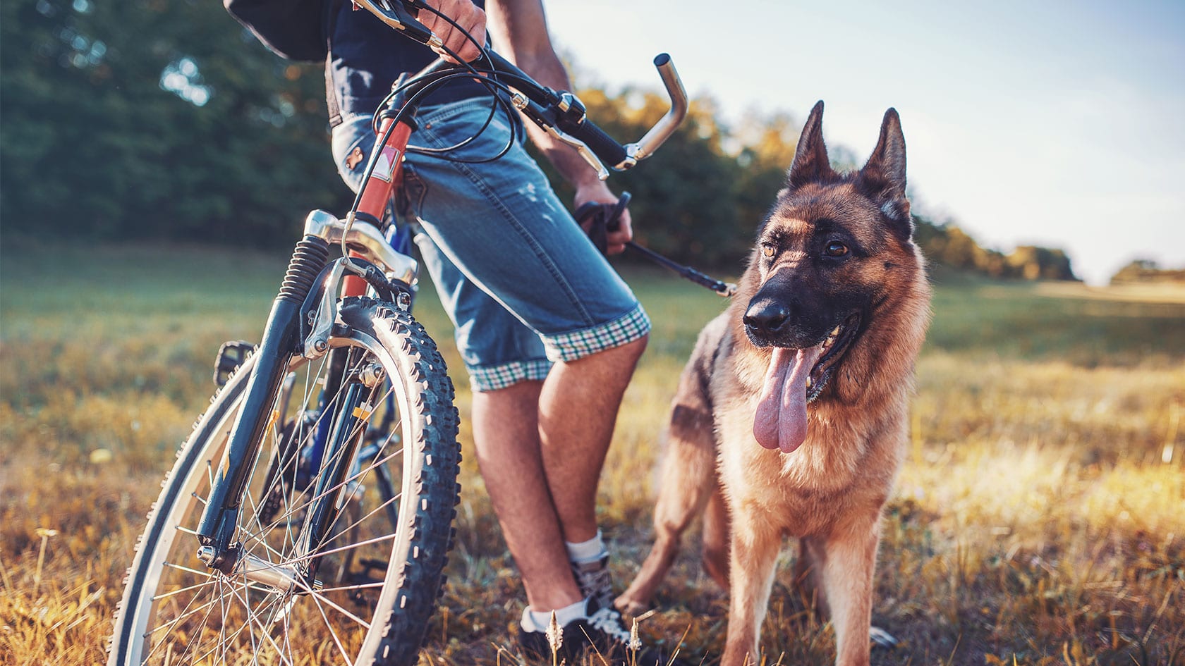 Avbildet: Hund står med eieren og sykkelen hans