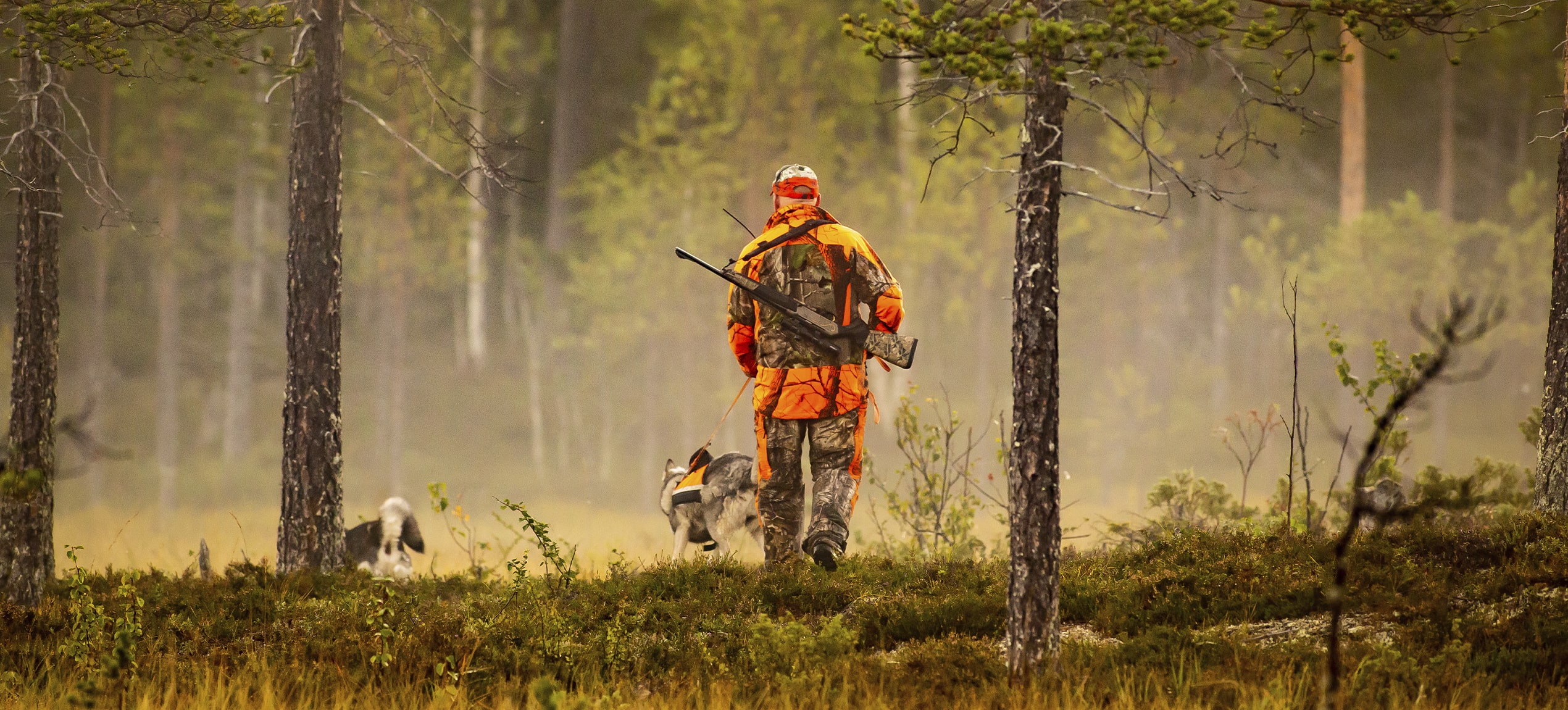 Avbildet: Jeger går med to hunder på jakt