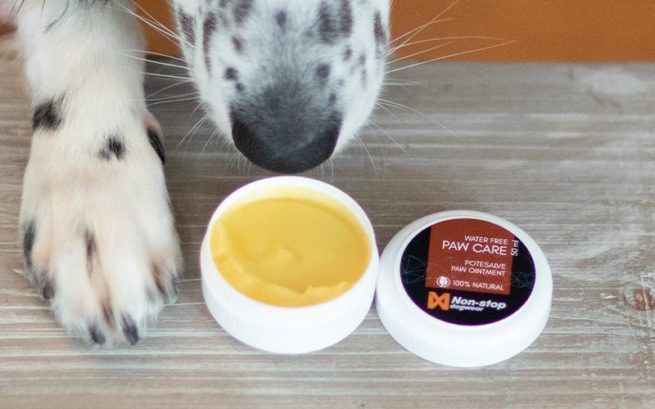 Non-stop dogwear potesalve