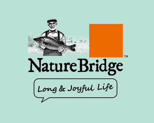 Nature Bridge Hund