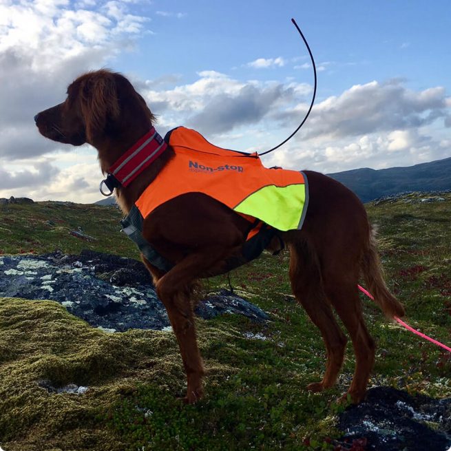 Avbildet: Jaktdekken - Protector Vest GPS fra Non-stop Dogwear