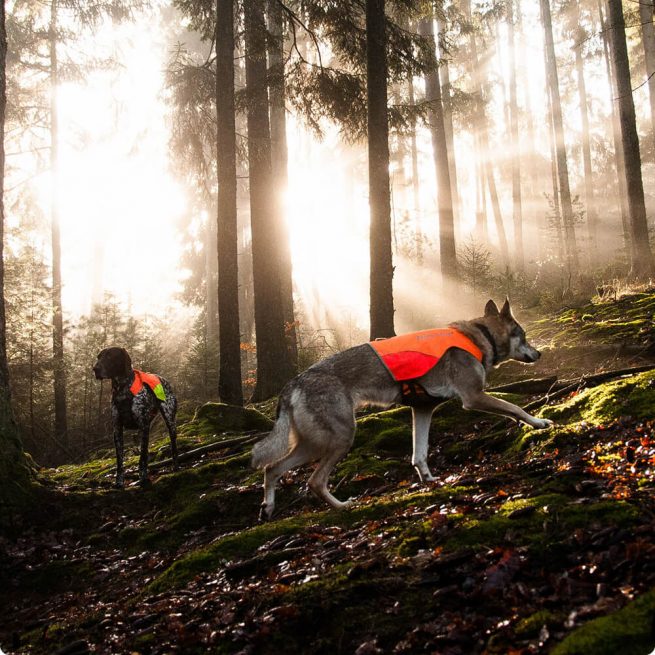 Avbildet: Jaktdekken - Protector Vest fra Non-stop Dogwear