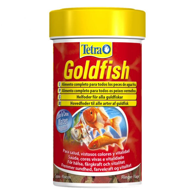 Avbildet: Tetra Goldfish