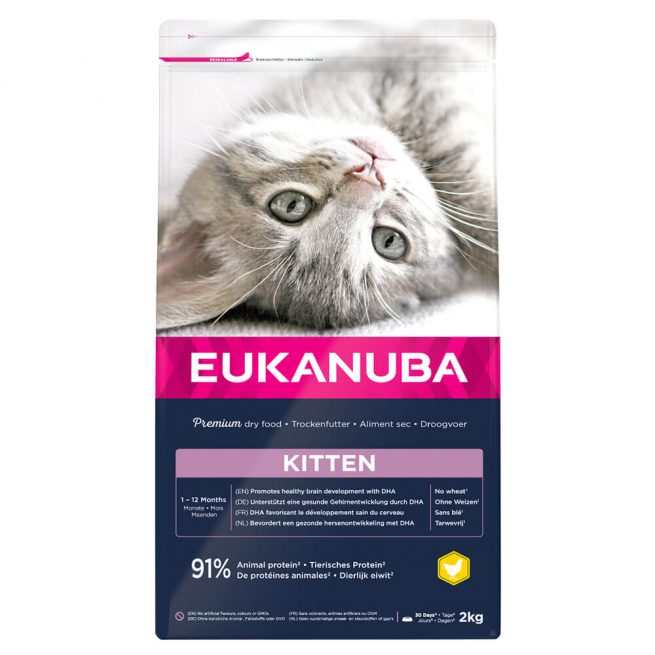 Avbildet: Eukanuba Cat Kitten - 2 kg