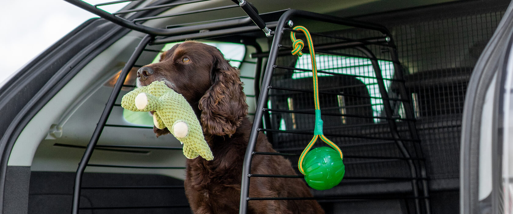 Avbildet: Hund med leke i munnen i et Flexxy hundebur