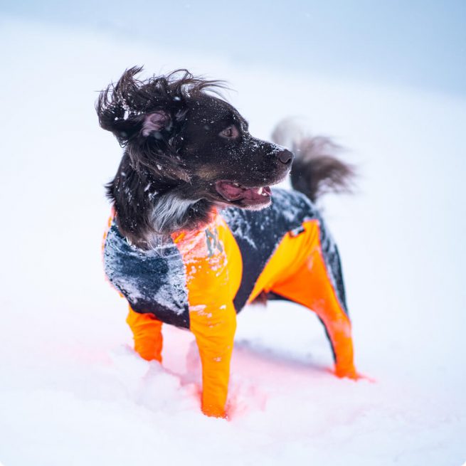 Avbildet: Heldress - Protector Snow fra Non-stop Dogwear