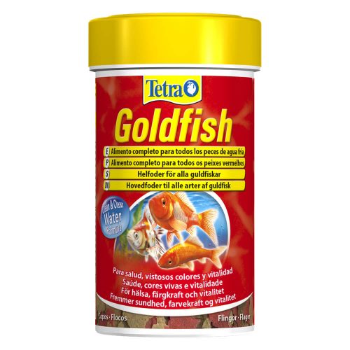 Avbildet: Tetra Goldfish
