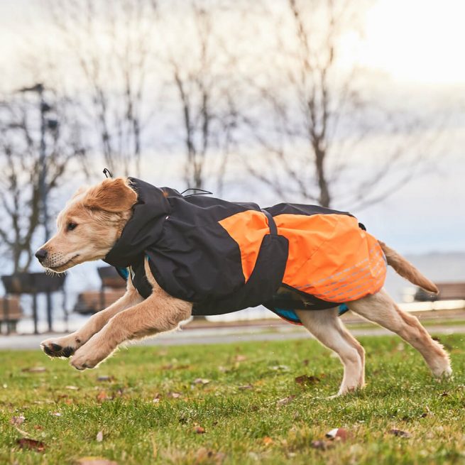 Avbildet: Non-stop dogwear - Glacier Jacket 2.0 - Oransje/Sort
