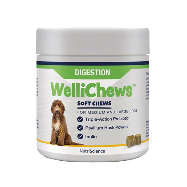 Wellichews Digestion Medium Large 60 St