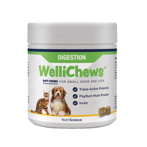 Wellichews Digestion Small Dog:Cat Dk:No120 St