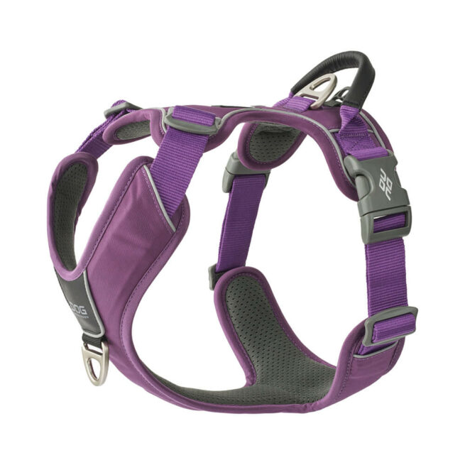 Comfort Walk Pro Harness Purple Passion