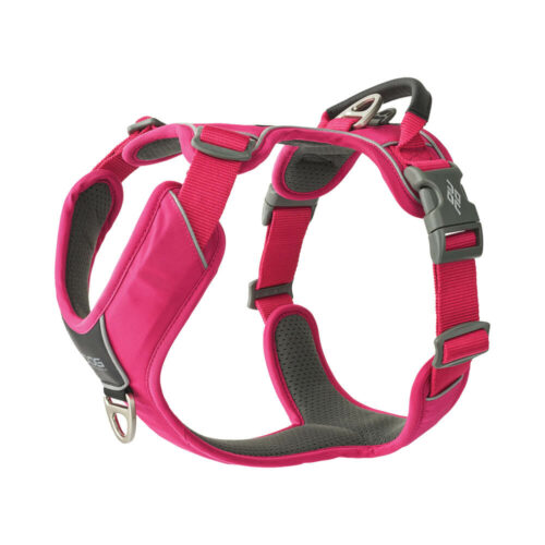 Comfort Walk Pro Harness Wild Rose
