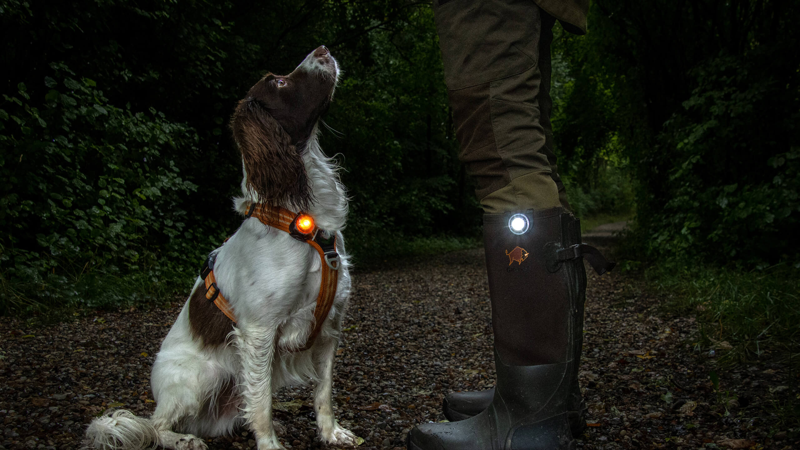 Orbiloc Dog Dual festet på hundesele gir trygghet på mørke turer
