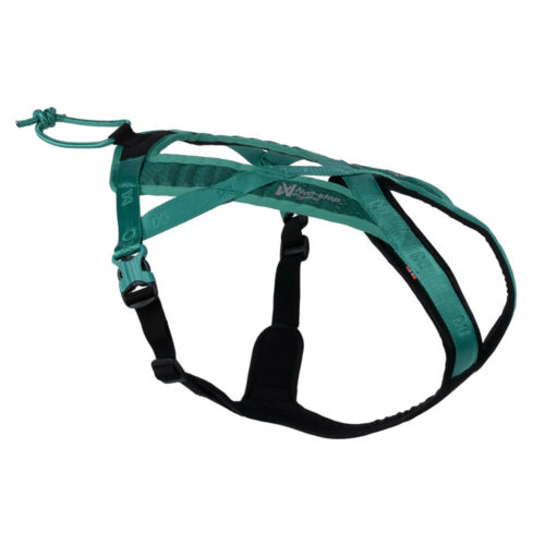 Rush Harness Teal (Turkis)