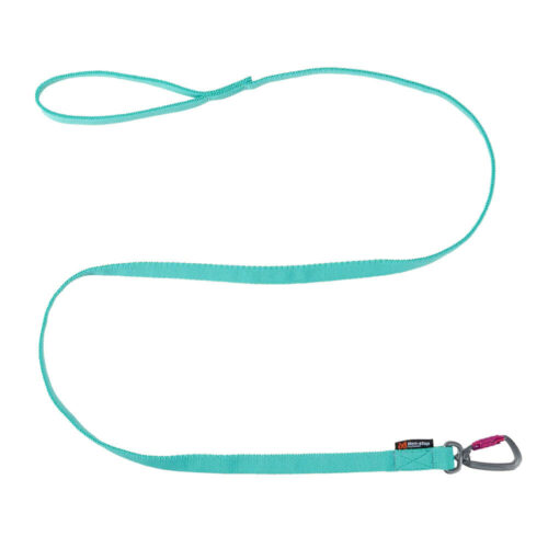 Non-stop dogwear Bungee Leash Aqua
