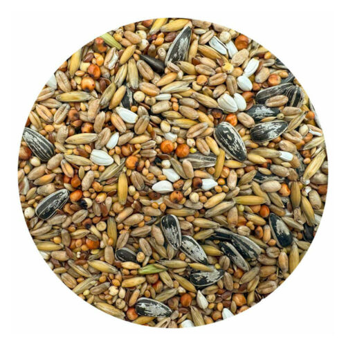 Avbildet: Bello Villfuglblanding