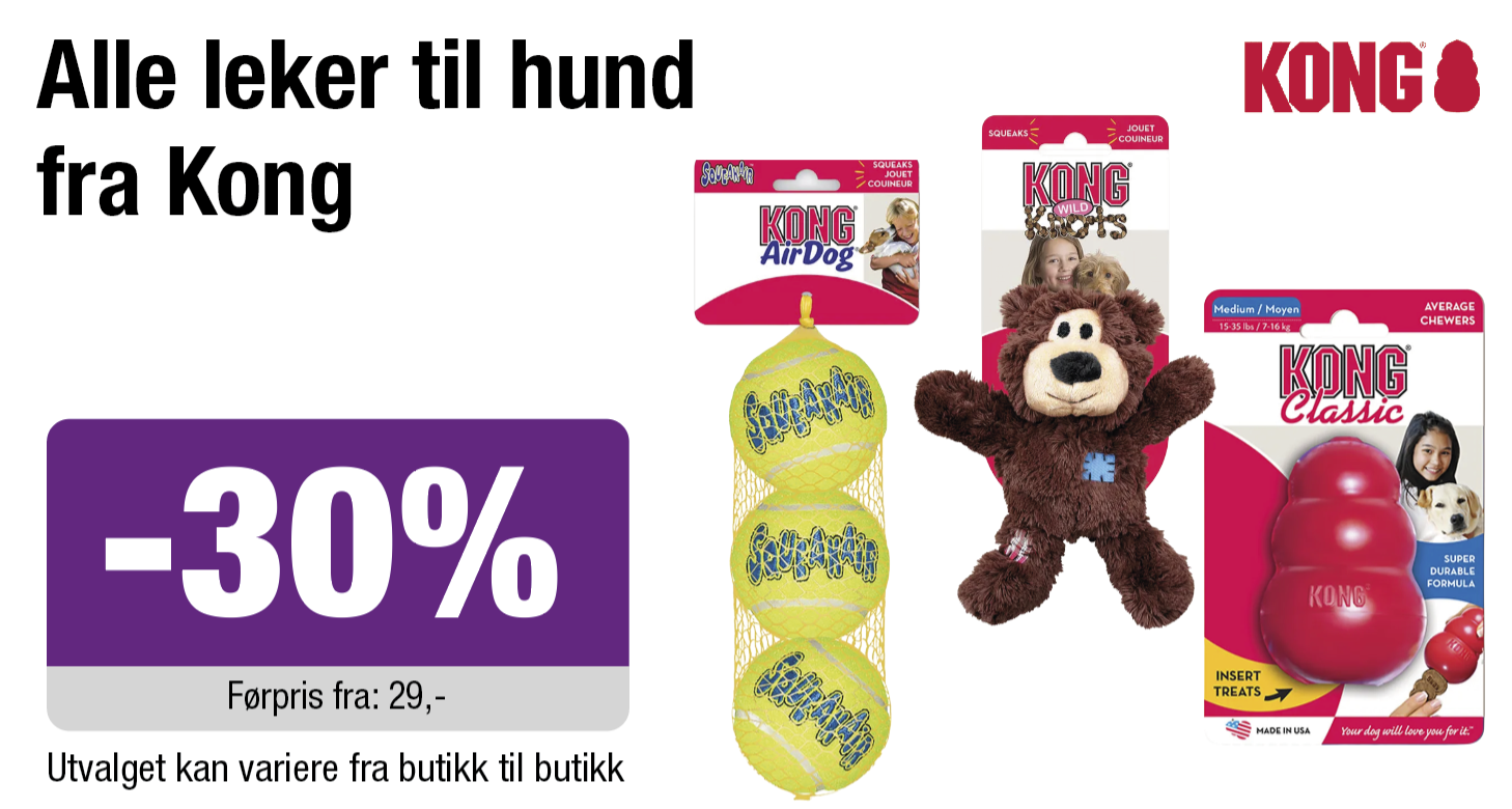 Alle leker til hund fra Kong