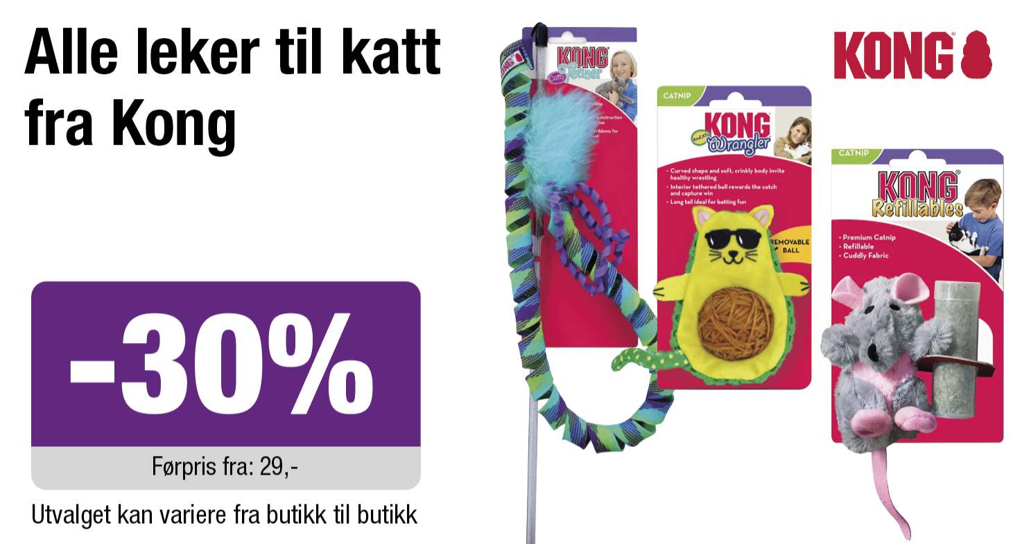 Alle leker til katt fra Kong