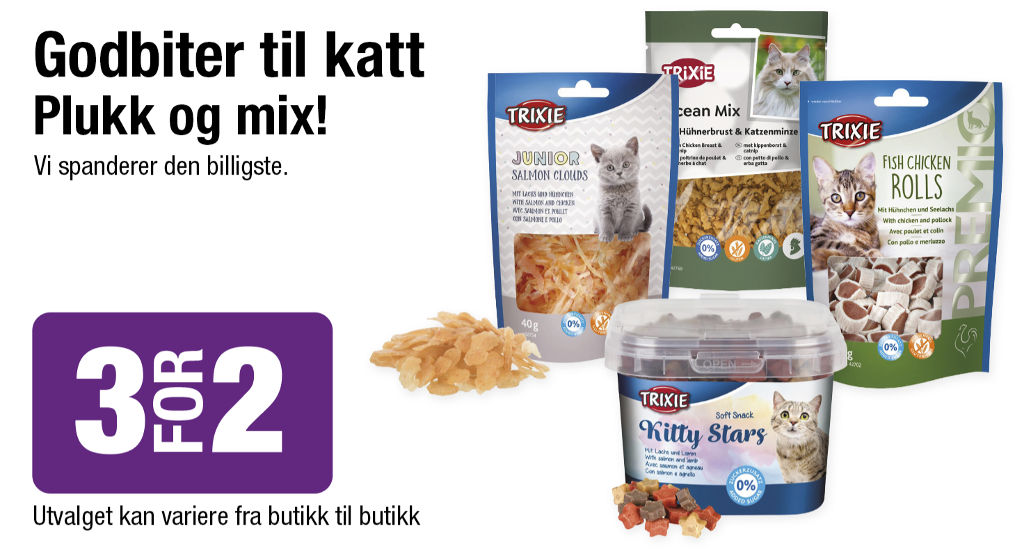 Godbiter Katt
